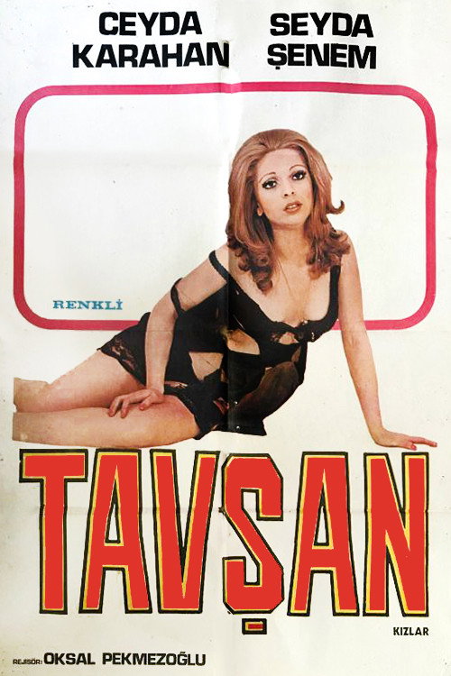 Tavsan Kizlar
