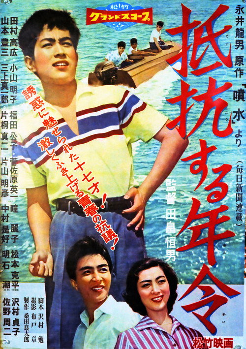 Teikô suru nenrei