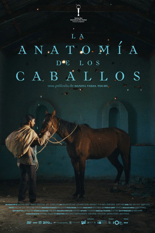 The Anatomy of the Horses