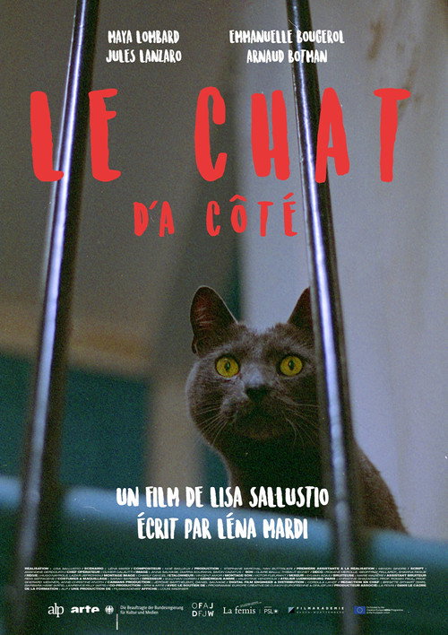 The Cat Next Door