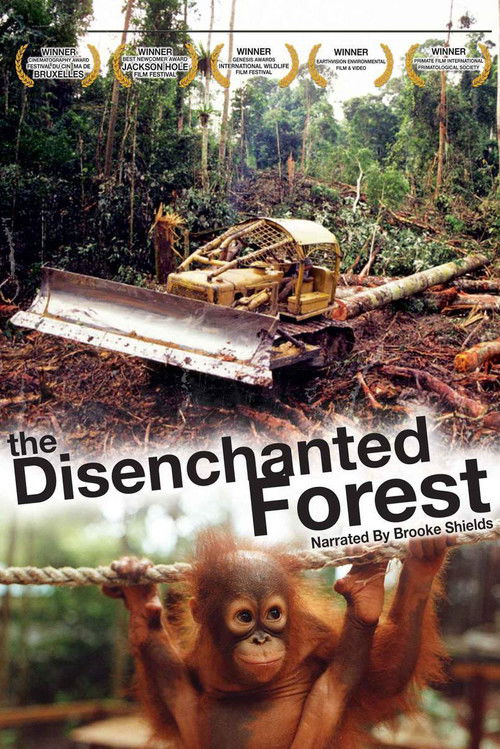 The Disenchanted Forest
