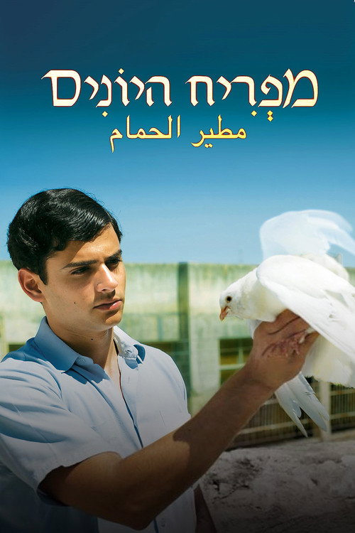 The Dove Flyer