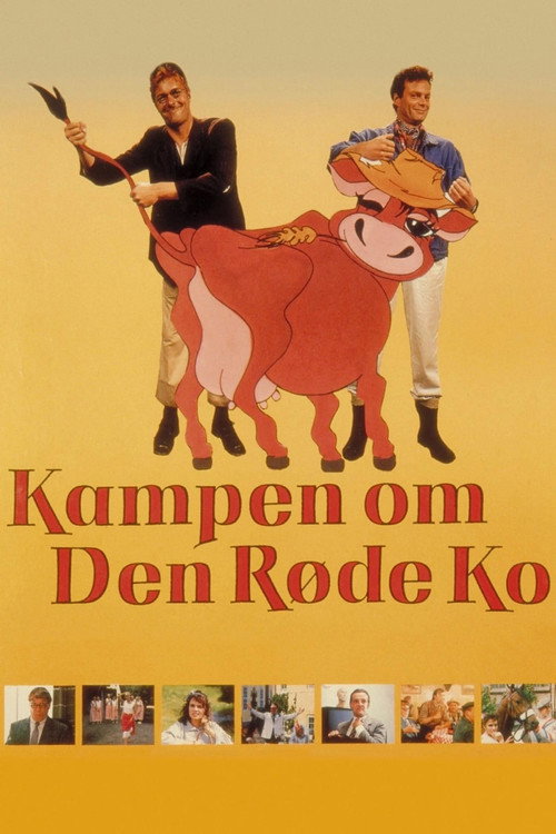 The Fight for the Red Cow
