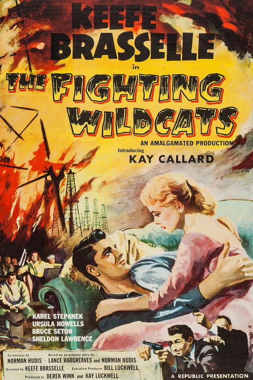 The Fighting Wildcats