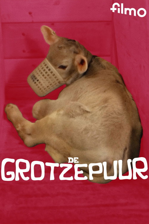 The Grotze Farmer