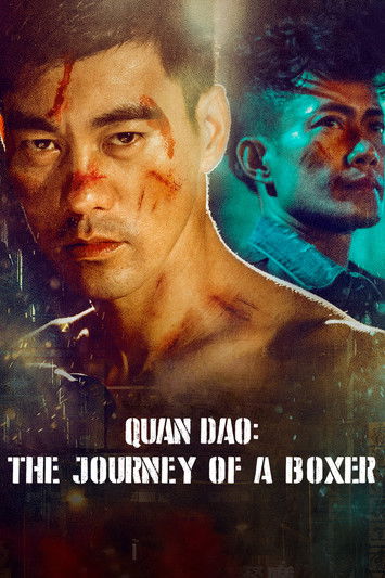 The Journey of a Boxer