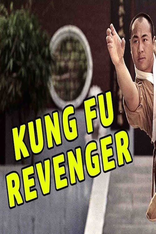 The Kung Fu Revenger