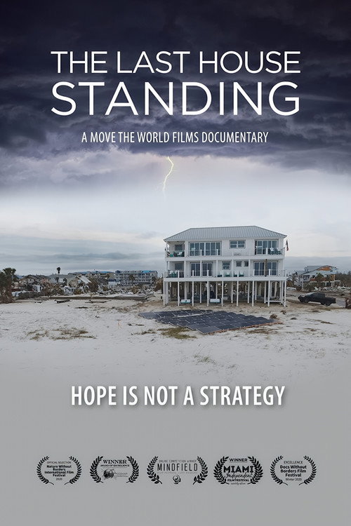 Poster for The Last House Standing