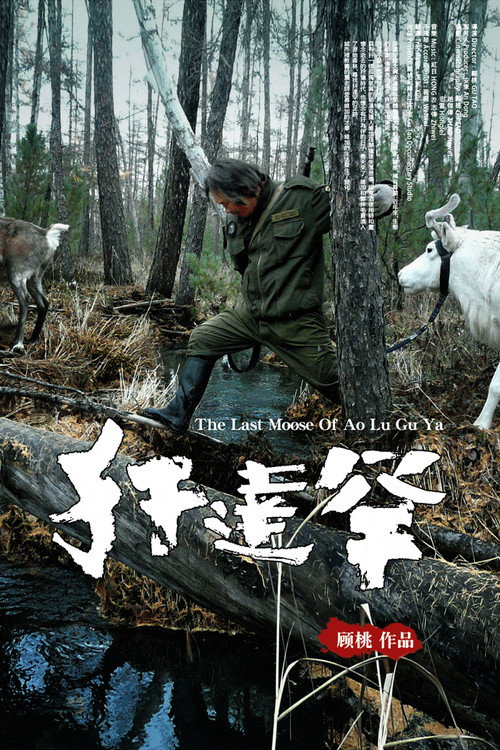 The Last Moose of Aoluguya