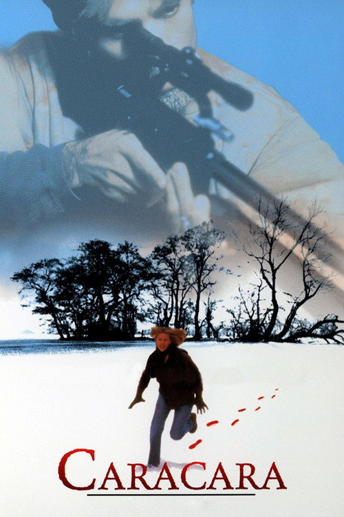 Poster for The Last Witness