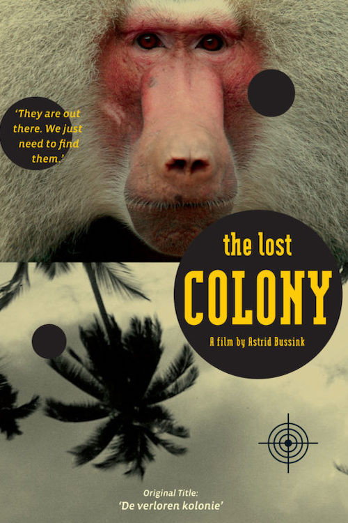 The Lost Colony