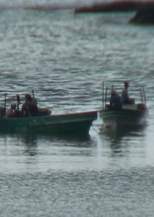 The Lottery of the Sea