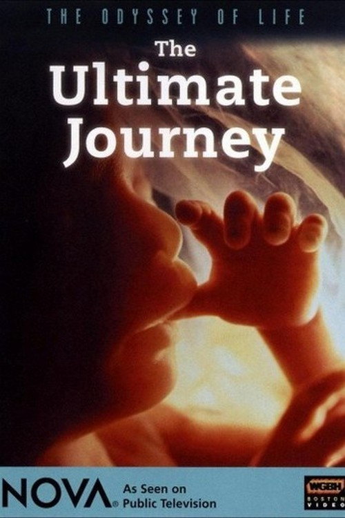 The Miracle of Life