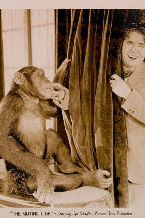 The Missing Link