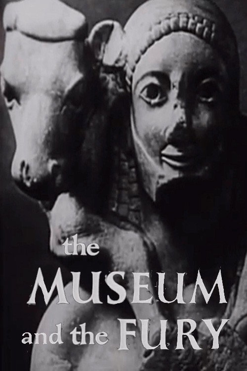 Poster for The Museum and the Fury
