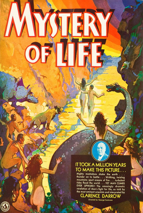 The Mystery of Life