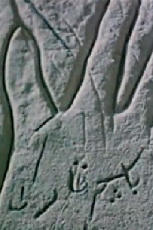 The Mystery of Open Palm