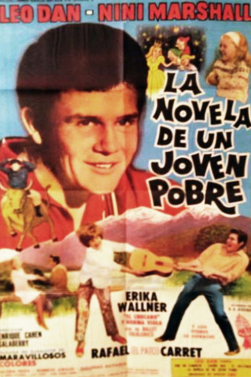 The Novel of a Poor Young Man