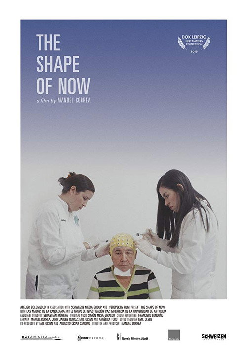 Poster for The Shape of Now