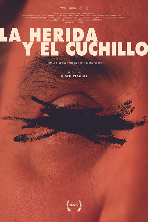 The Wound and Knife (Notes for a Film About Emilio García Wehbi)