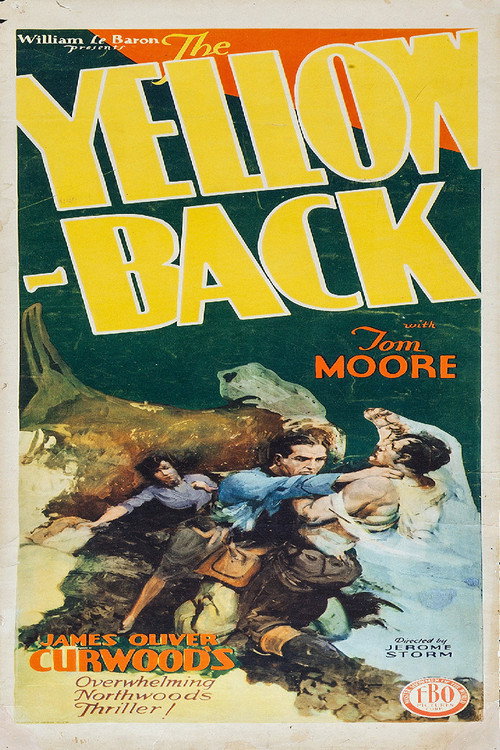 The Yellow-Back