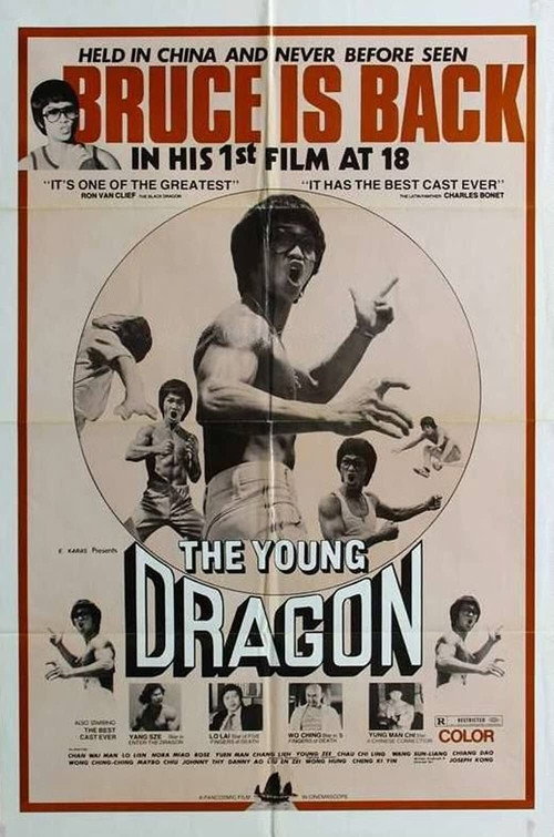 The Young Dragon