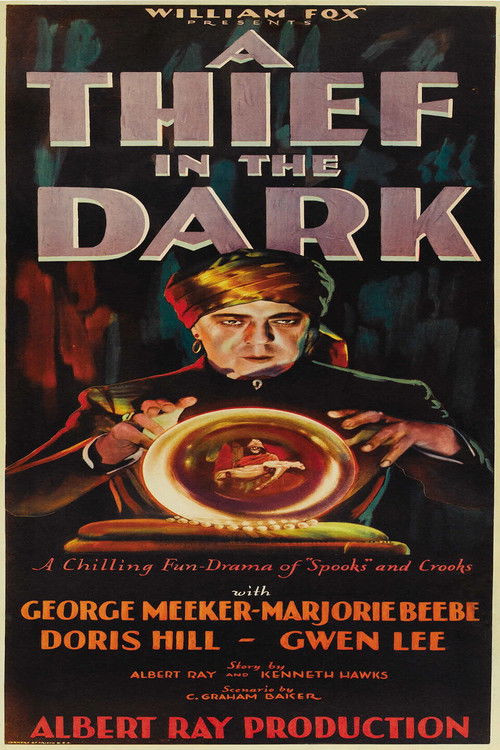 Thief in the Dark