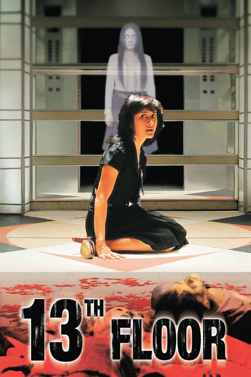 Thirteenth Floor