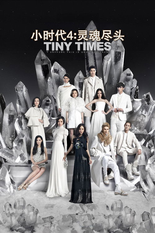 Tiny Times 4.0