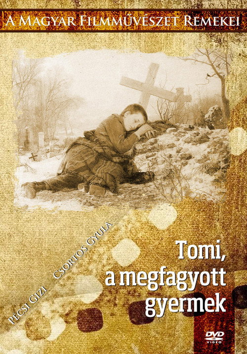 Tomi
