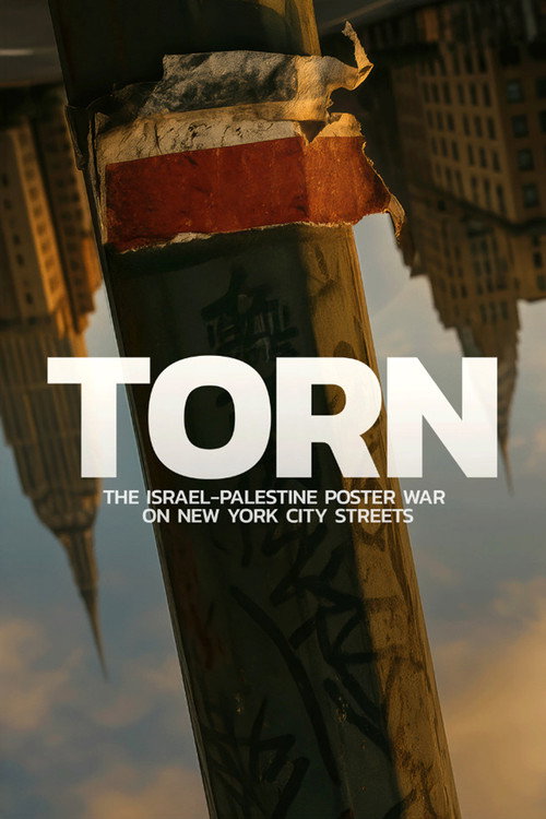 Torn: The Israel-Palestine Poster War on NYC Streets