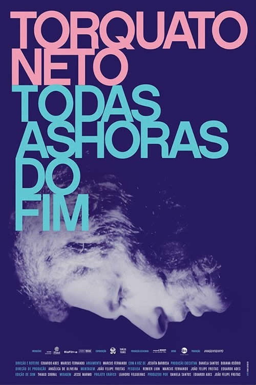 Torquato Neto - Todas as horas do fim