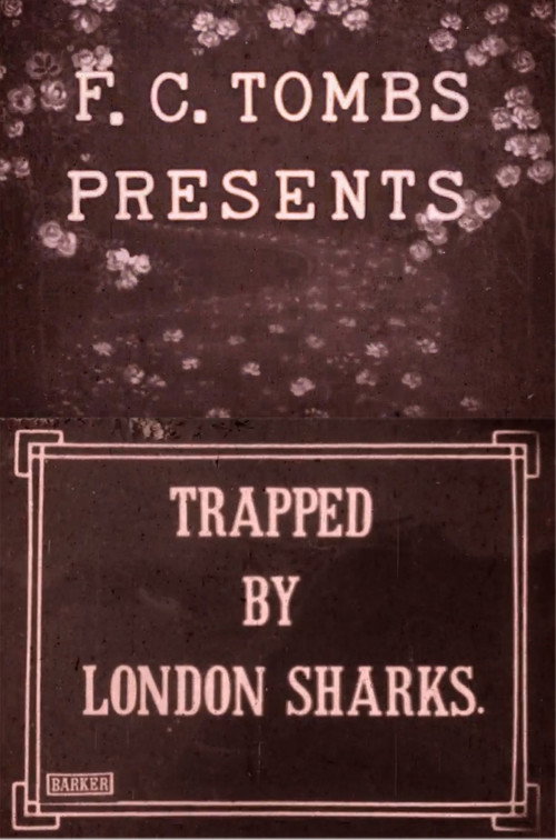 Trapped by the London Sharks
