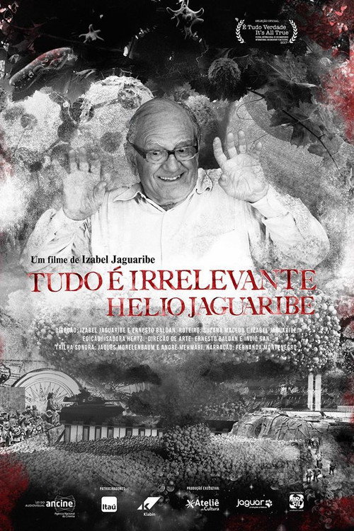 Tudo É Irrelevante. Helio Jaguaribe