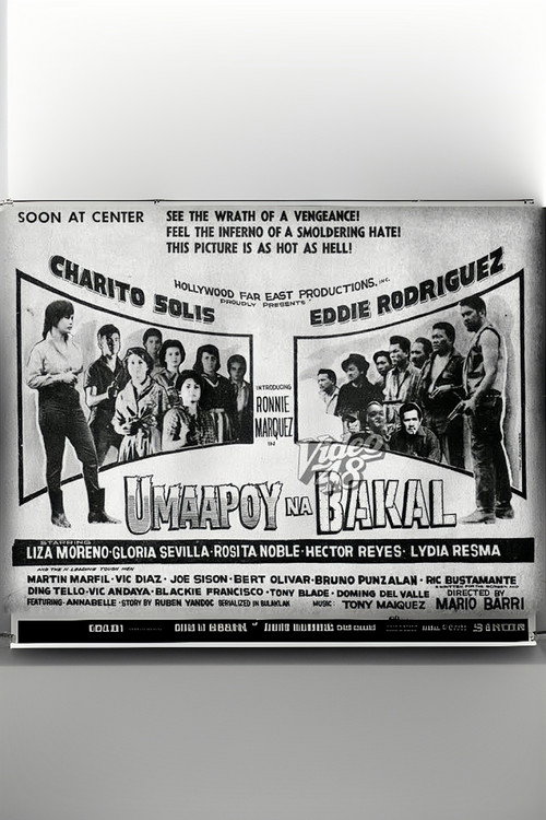 Umaapoy na bakal