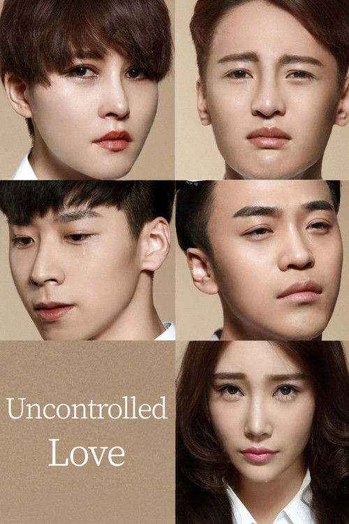 Poster for Uncontrolled Love: Secret of the Valet
