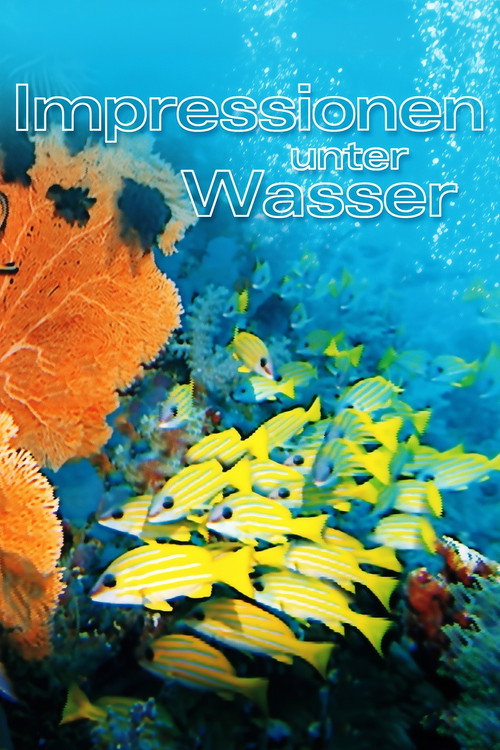 Underwater Impressions
