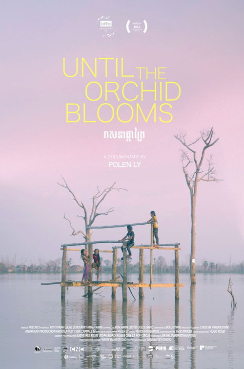 Until the Orchid Blooms