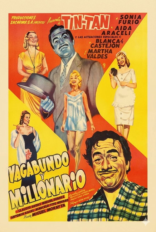 Vagabundo y millonario