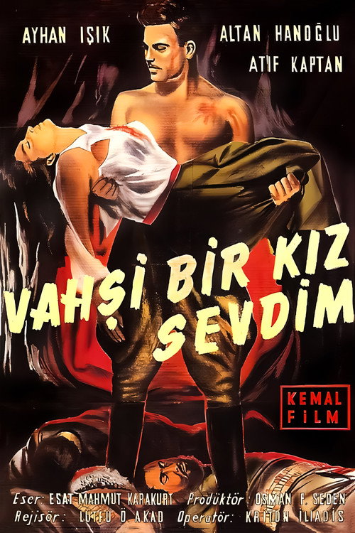 Vahsi bir kiz sevdim