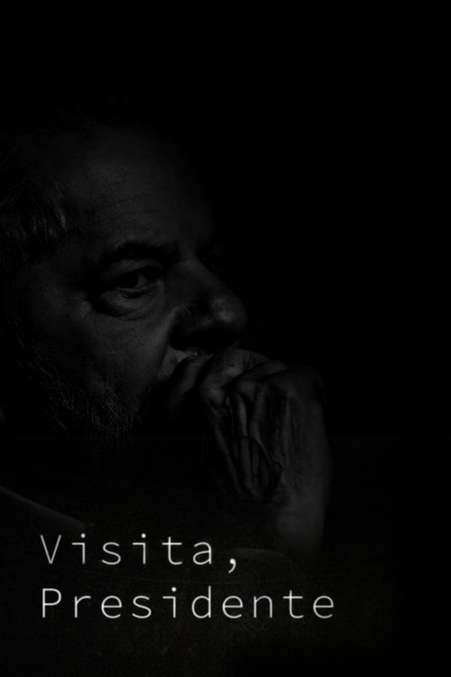 Visita, presidente