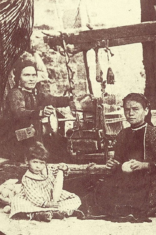 Vlasi nomadi