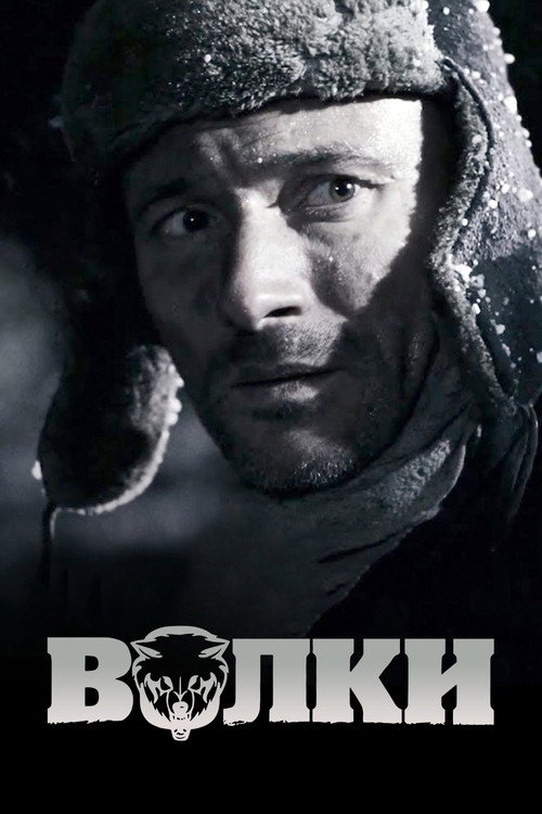 Volki