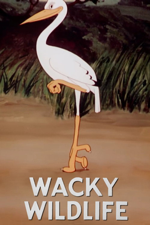 Wacky Wild Life
