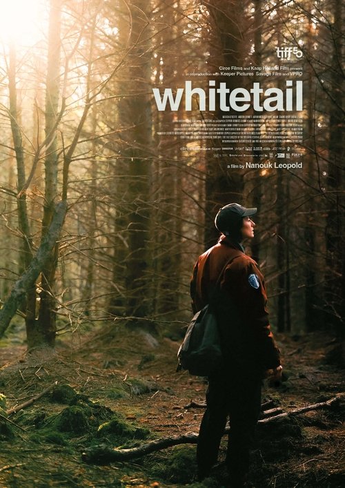 Whitetail