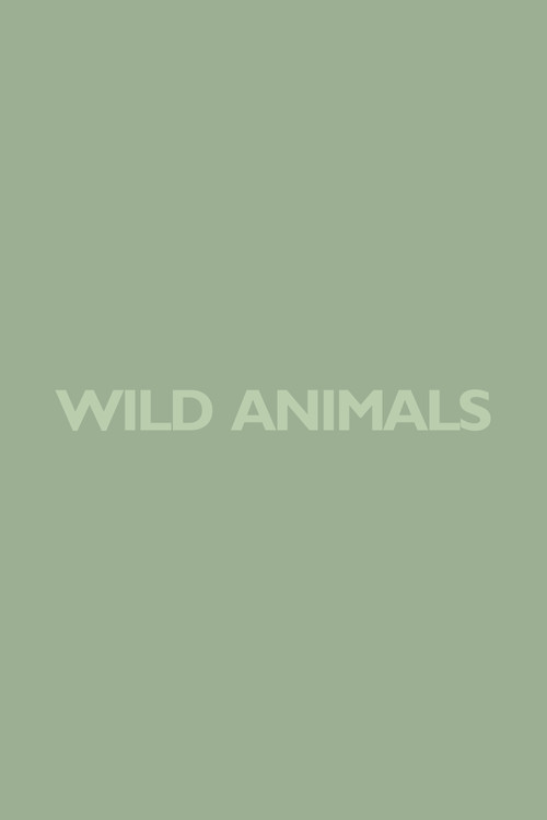 Wild Animal