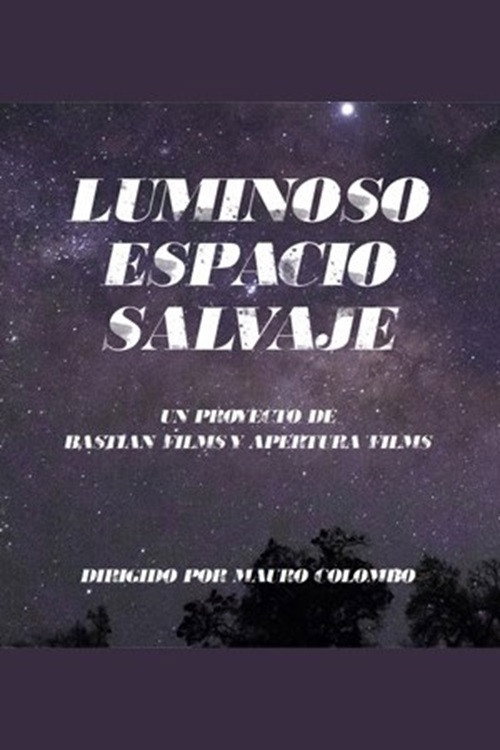 Wild Gleaming Space (Luminoso espacio salvaje)