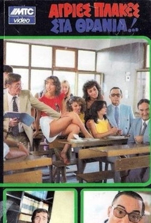 Wild Jokes in the Classroom