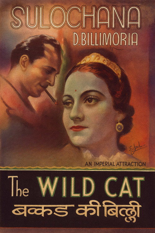 Wildcat of Bombay