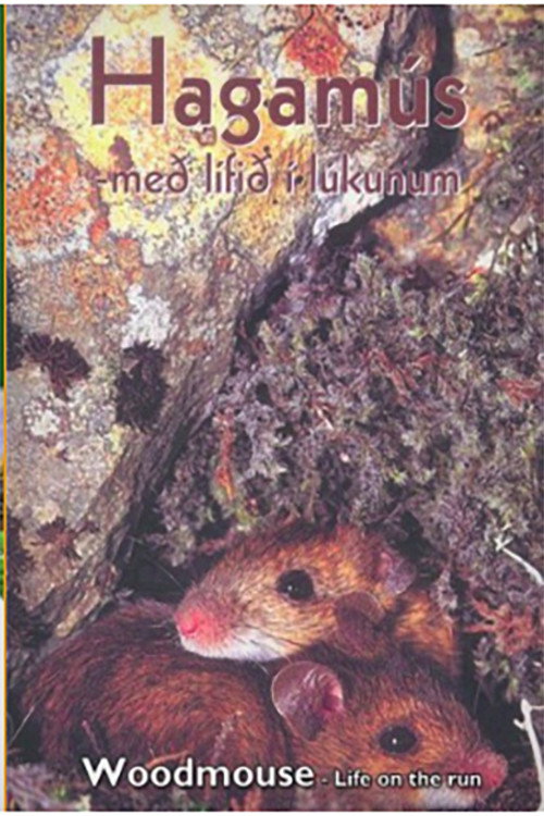 Woodmouse: Life on the Run